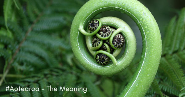 Aotearoa - The Meaning