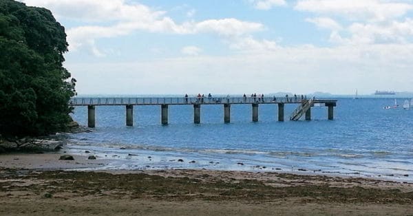 Murrays Bay1
