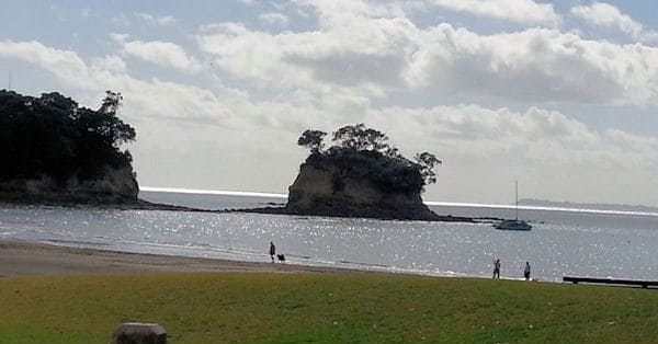 Waiake1